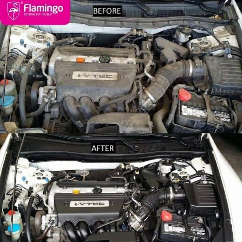 Flamingo Engine Degreaser